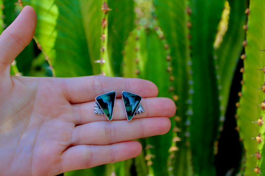 Black Bridge Variscite Earring Studs